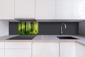 Dibond tábla a konyhapult mögött buja erdő - 60x40 cm ingyenes ragasztó
