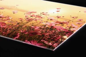 Plexi a konyhapult mögött virág mező - 60 x 60 cm + ingyenes ragasztó