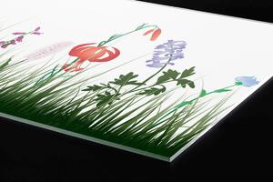 Plexi a konyhapult mögött réti kialakítás - 180 x 60 cm