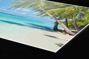 Plexi a konyhapult mögött strand a paradicsomban - 60 x 60 cm