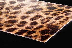 Plexi a konyhapult mögött leopárd bőr - 60 x 60 cm