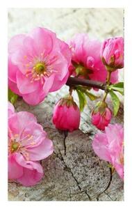 Nem szőtt fotótapéta a falra sakura 150 x 250 cm