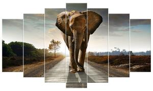 Gario Vászonkép Magányos eros elefánt - 7 részes Méret: 210 x 150 cm