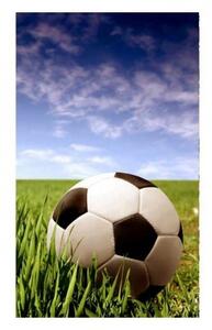 Nem szőtt fotótapéta a falra futball labda 150 x 250 cm