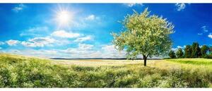 Panorámás nem szőtt fotótapéta egy fa a réten 375 x 150 cm