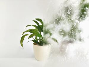 Átlátszó ablakfólia jegyek - szélesség 40 cm