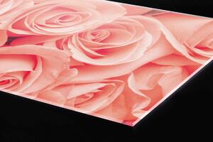 Plexi a konyhapult mögött rózsák - 60 x 60 cm
