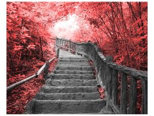 Gario Vászonkép Lépcso a vörös erdöben Méret: 40 x 60 cm