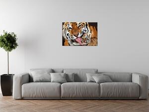 Gario Vászonkép Tigris és kis tigris Méret: 30 x 20 cm
