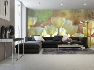 Nem szőtt fotótapéta absztrakt fehér tulipán 375 x 250 cm