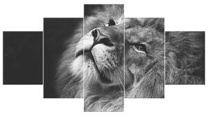 Gario Vászonkép Ezüst oroszlán - 5 részes Méret: 225 x 160 cm
