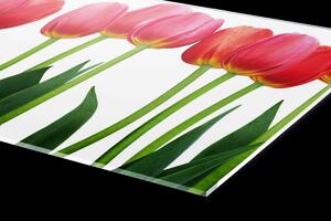Plexi a konyhapult mögött tulipánok - 80 x 40 cm + ingyenes ragasztó