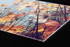 Plexi a konyhapult mögött tavaszi rét - 80 x 40 cm