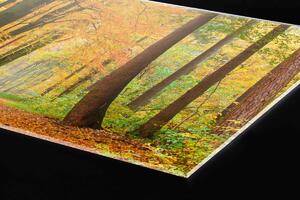Plexi a konyhapult mögött őszi erdő - 60 x 40 cm