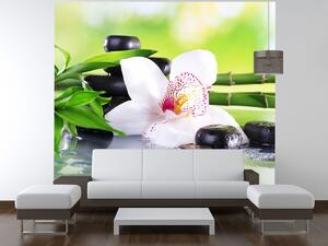 Gario Fotótapéta Fehér orchidea és kövek Anyag: Öntapadó, Méret: 268 x 240 cm