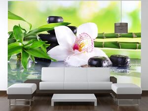 Gario Fotótapéta Fehér orchidea és kövek Anyag: Öntapadó, Méret: 268 x 100 cm