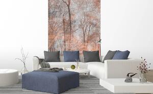 Nem szőtt fotótapéta a falra absztrakt színes erdő 150 x 250 cm