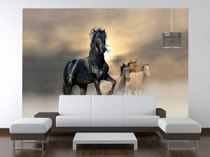 Gario Fotótapéta Gyönyöru fekete ló Anyag: Vlies, Méret: 200 x 150 cm