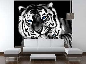 Gario Fotótapéta Feketefehér tigris és kistigris Anyag: Vlies, Méret: 412 x 248 cm