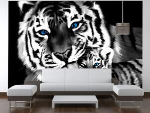 Gario Fotótapéta Feketefehér tigris és kistigris Anyag: Öntapadó, Méret: 412 x 248 cm
