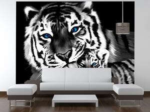 Gario Fotótapéta Feketefehér tigris és kistigris Anyag: Öntapadó, Méret: 412 x 248 cm