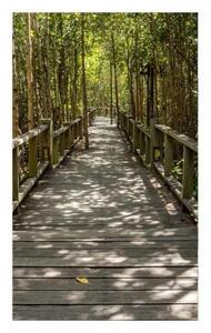 Nem szőtt fotótapéta a falra mangrove erdő 150 x 250 cm