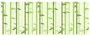 Gario Fotótapéta Bambusz motívum Anyag: Öntapadó, Méret: 536 x 240 cm