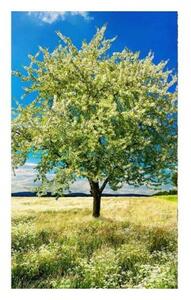 Nem szőtt fotótapéta a falra egy fa a réten 150 x 250 cm