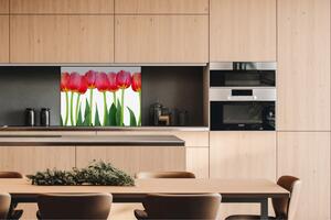 Dibond tábla a konyhapult mögött tulipánok - 80 x 60 cm ingyenes ragasztó