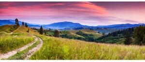Panorámás nem szőtt fotótapéta természet vörösbegyekkel 375 x 150 cm