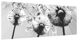 Gario Fotótapéta Gyönyöru feketefehér pitypangok Anyag: Öntapadó, Méret: 95 x 205 cm