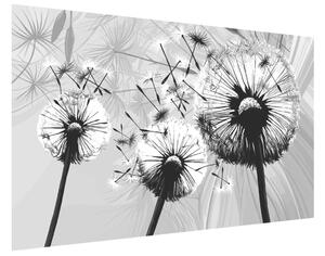 Gario Fotótapéta Gyönyöru feketefehér pitypangok Anyag: Öntapadó, Méret: 110 x 200 cm