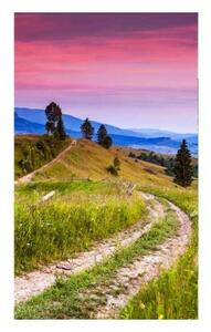 Nem szőtt fotótapéta a falra természet vörösbegyekkel 150 x 250 cm