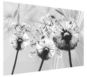 Gario Fotótapéta Gyönyöru feketefehér pitypangok Anyag: Öntapadó, Méret: 95 x 205 cm