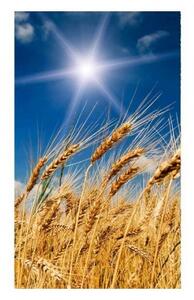 Nem szőtt fotótapéta a falra búzamező 150 x 250 cm