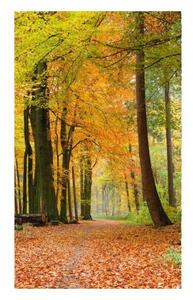 Nem szőtt fotótapéta a falra őszi erdő 150 x 250 cm