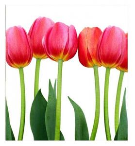 Nem szőtt fotótapéta tulipánok 225 x 250 cm
