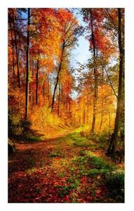 Nem szőtt fotótapéta a falra séta az erdőben 150 x 250 cm