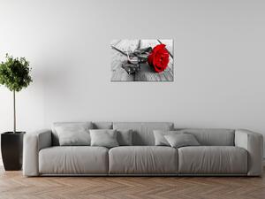 Gario Órás falikép Vörös Rózsa Méret: 100 x 40 cm