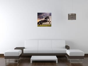 Gario Órás falikép Eros fekete ló Méret: 30 x 30 cm
