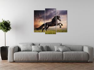 Gario Órás falikép Eros fekete ló - 3 részes Méret: 90 x 70 cm