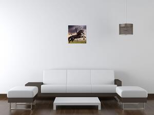 Gario Órás falikép Eros fekete ló Méret: 40 x 40 cm