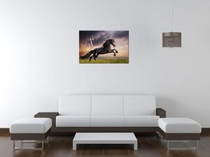 Gario Órás falikép Eros fekete ló Méret: 40 x 40 cm