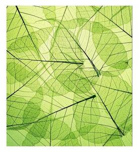 Nem szőtt fotótapéta levélerek 225 x 250 cm