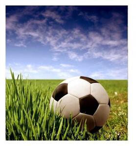 Nem szőtt fotótapéta futball labda 225 x 250 cm