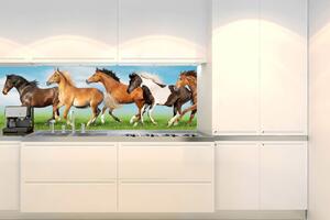 Konyhai fotótapéta - egy csorda ló 180 x 60 cm
