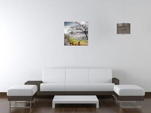 Gario Órás falikép Virágzó meggyfa Méret: 30 x 30 cm