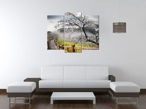 Gario Órás falikép Virágzó meggyfa - 3 részes Méret: 80 x 40 cm