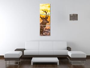 Gario Órás falikép Eros szarvas - 3 részes Méret: 90 x 30 cm