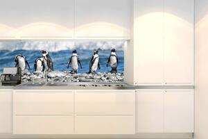 Konyhai fotótapéta - pingvinek 180 x 60 cm